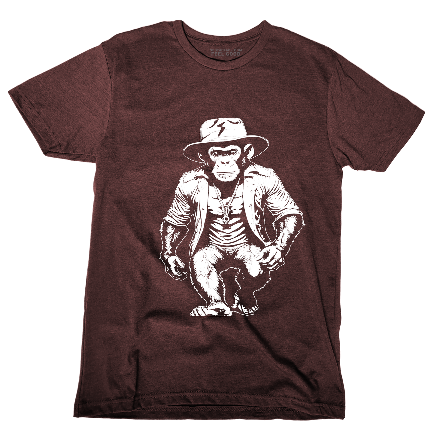 Flash Monkey - The Coolest Miko