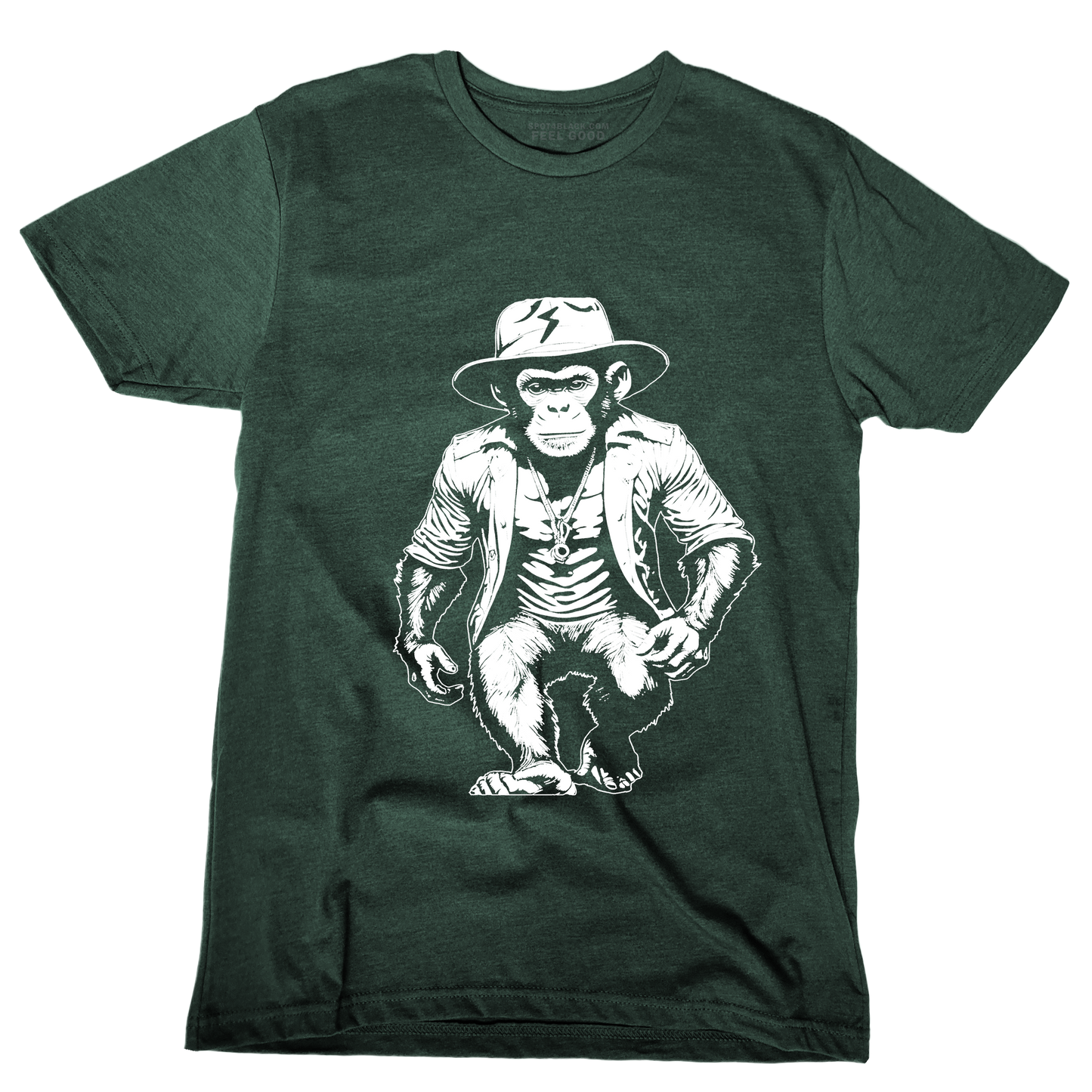 Flash Monkey - The Coolest Miko